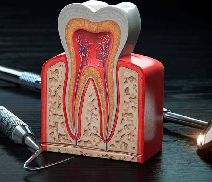 Endodontia